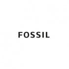 
        FOSSIL
  